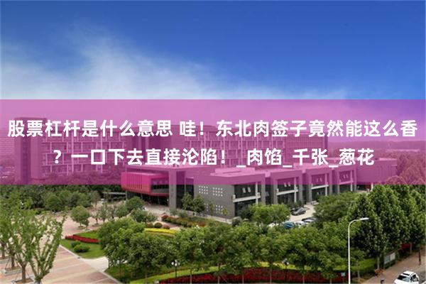 股票杠杆是什么意思 哇！东北肉签子竟然能这么香？一口下去直接沦陷！_肉馅_千张_葱花