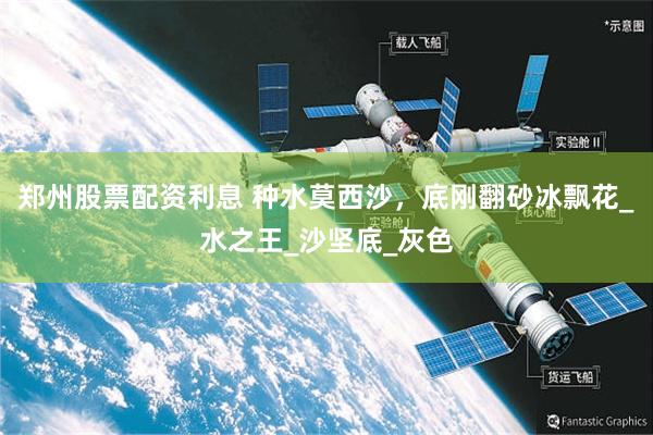郑州股票配资利息 种水莫西沙，底刚翻砂冰飘花_水之王_沙坚底_灰色