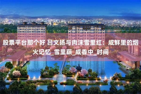股票平台那个好 吕文扬与肉沫雪里红：咸鲜里的烟火记忆_雪里蕻_咸香中_时间