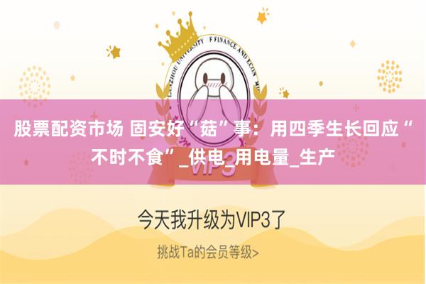 股票配资市场 固安好“菇”事：用四季生长回应“不时不食”_供电_用电量_生产