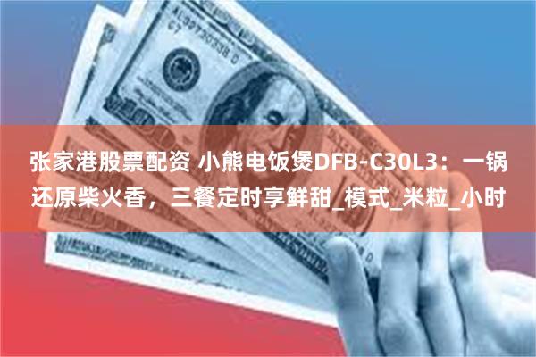 张家港股票配资 小熊电饭煲DFB-C30L3：一锅还原柴火香，三餐定时享鲜甜_模式_米粒_小时