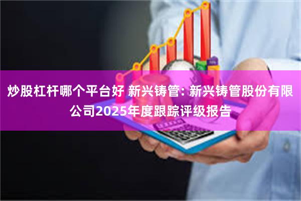炒股杠杆哪个平台好 新兴铸管: 新兴铸管股份有限公司2025年度跟踪评级报告