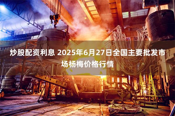 炒股配资利息 2025年6月27日全国主要批发市场杨梅价格行情