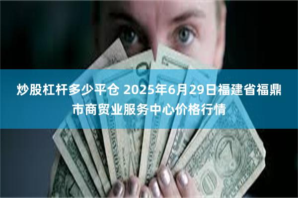 炒股杠杆多少平仓 2025年6月29日福建省福鼎市商贸业服务中心价格行情