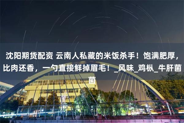 沈阳期货配资 云南人私藏的米饭杀手！饱满肥厚，比肉还香，一勺直接鲜掉眉毛！_风味_鸡枞_牛肝菌