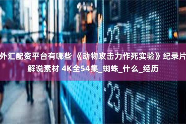 外汇配资平台有哪些 《动物攻击力作死实验》纪录片解说素材 4K全54集_蜘蛛_什么_经历
