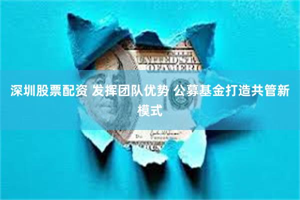深圳股票配资 发挥团队优势 公募基金打造共管新模式