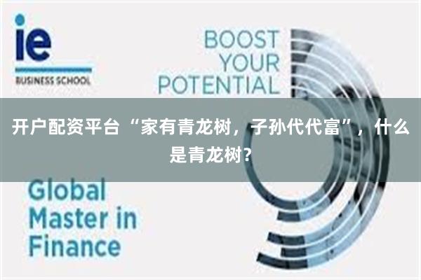 开户配资平台 “家有青龙树,子孙代代富”,什么是青龙树?